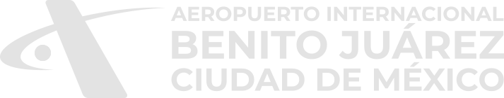 logo aeropuerto benito